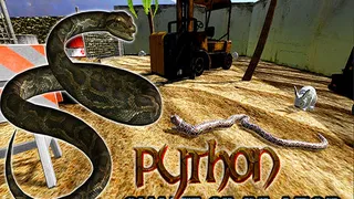 Python Snake Simulator