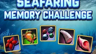 Seafaring Memory  Challenge