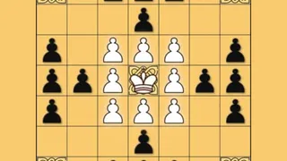 Tafl: viking chess