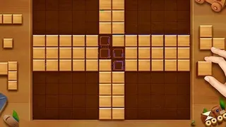 Wood Block Brain Puzzle