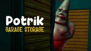 Potrick Garage Storage