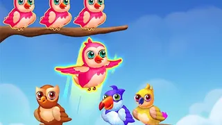 Birds Sort Color Match Puzzle