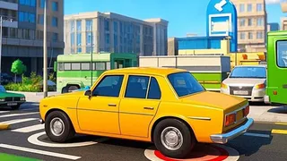 Parking Crazy