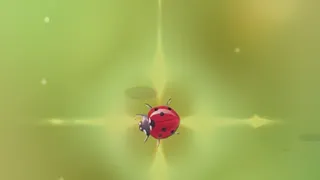 Pest Control
