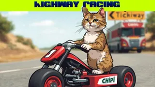 Chipi Chipi Chapa Chapa Cat Highway Racing