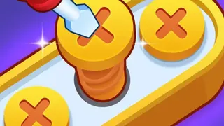 Screw Pin Jam Puzzle