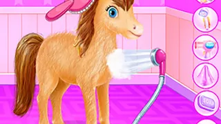 Zoo Animal Hotel